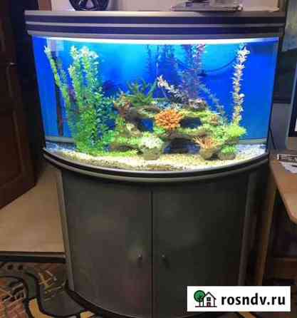 Аквариум с тумбой 200 литров Сочи