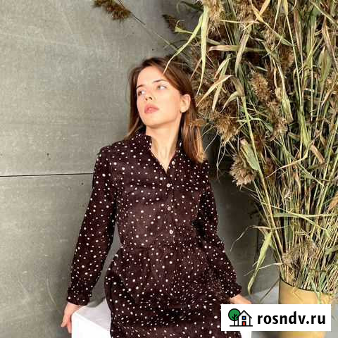 Репетиторство, помощь домашним заданием Барнаул - изображение 1