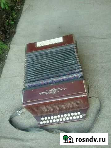 Старинная гармонь Гурьевск - изображение 1