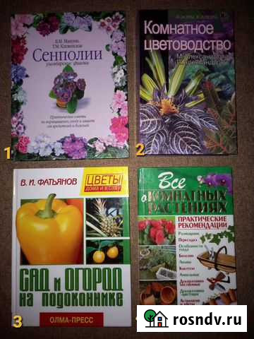 Комнатные растения Алушта - изображение 1