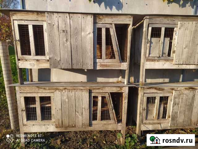 Клетка для кроликов Кромы - изображение 1