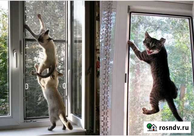 Москитная сетка антикошка Старый Оскол - изображение 1