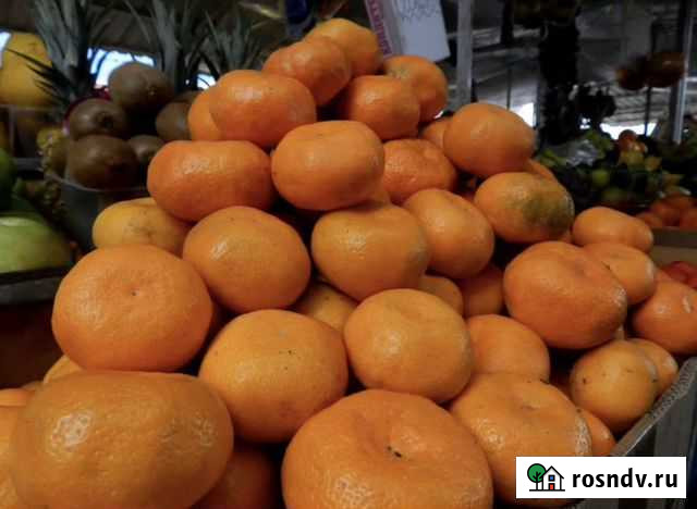 Мандарины Абхазия Курск - изображение 1