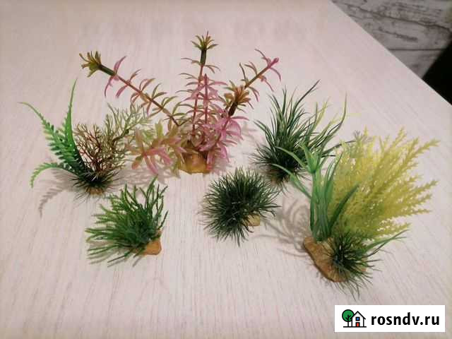 Растения для аквариума Тюмень - изображение 1