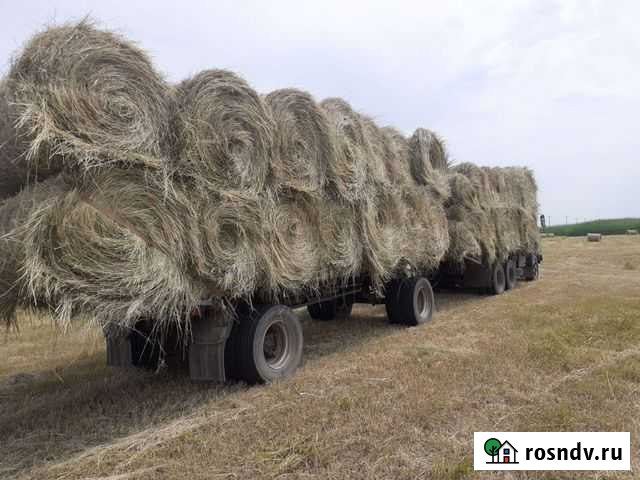 Сено с доставкой Заветное - изображение 1
