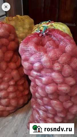 Картофель Благовещенск - изображение 1