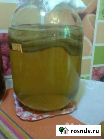 Домашний питьевой гриб Томск - изображение 1