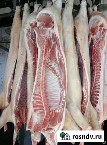 Мясо свинина охлажденное Калуга - изображение 1