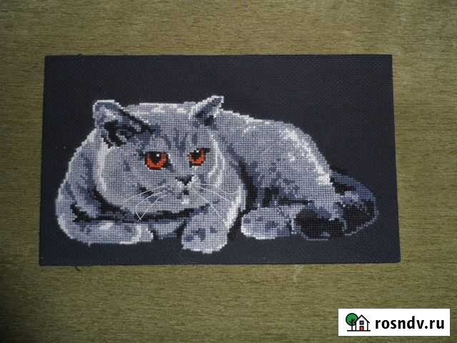 Картина британский кот Дмитров - изображение 1