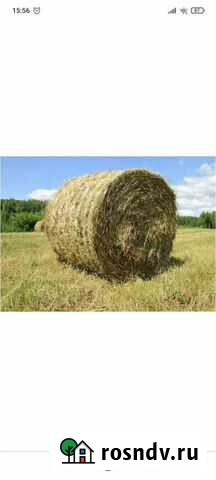 Сено Мальчевская - изображение 1