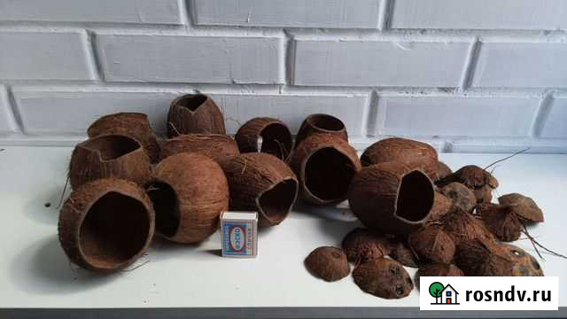 Декорациия кокос для аквариума натуральный Омск - изображение 1