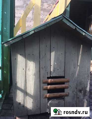 Собачья будка Бавлы - изображение 1