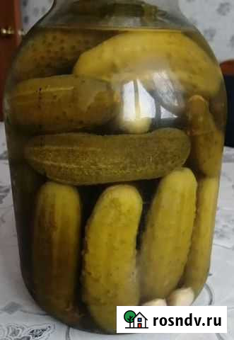 Огурцы малосоленые Нефтекамск - изображение 1