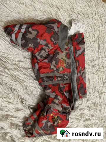 Костюм для собак Белгород - изображение 1