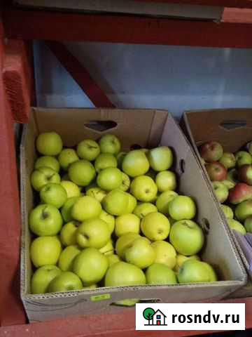 Яблоки Черемисиново - изображение 1
