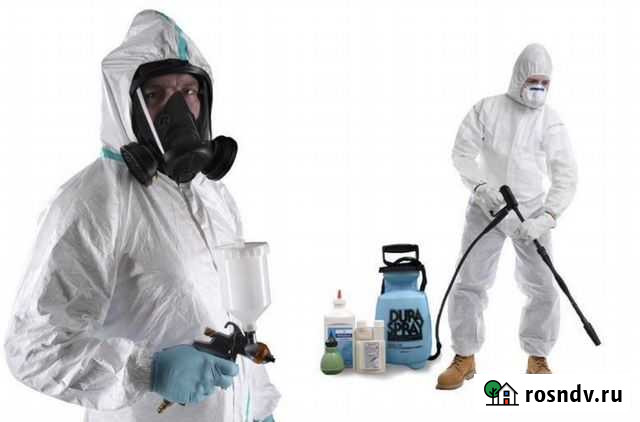 Когалым Дезинсекция, Дезинфекция, Дератизация Когалым - изображение 1