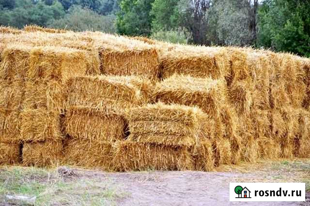 Сено в тюках Люберцы - изображение 1