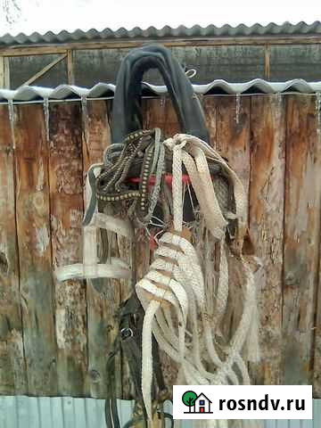 Сбруя Поспелиха - изображение 1