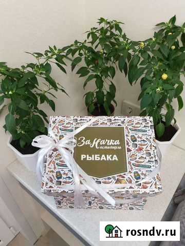 BOX рыбалова Ковров - изображение 1