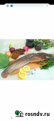 Клариевый сом, свежая и копчёная Туймазы - изображение 1