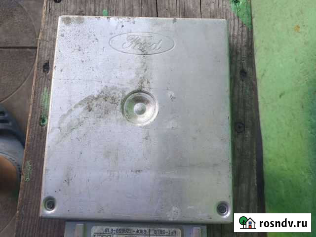 Мозги Хлевное - изображение 1