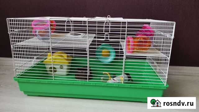 Клетка Кыштым - изображение 1