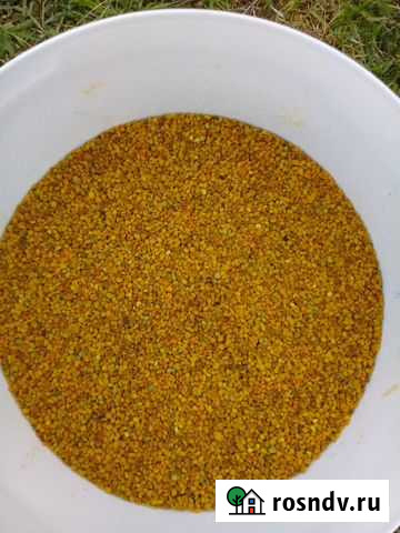 Пыльца пчелиная Пушкино - изображение 1