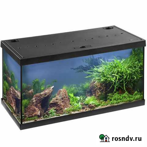 Аквариумы разные Ногинск - изображение 1