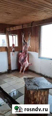 Дорогое мясо баранина свежая халяль Пушкино - изображение 1