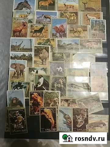 Марки Калининград - изображение 1