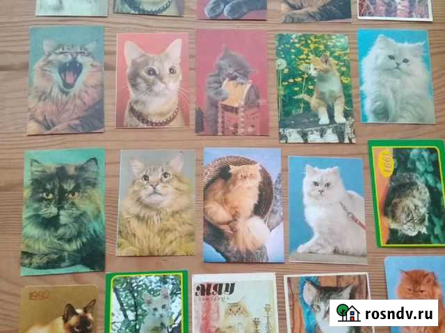 Коллекция открыток и календариков с котами Уфа - изображение 1