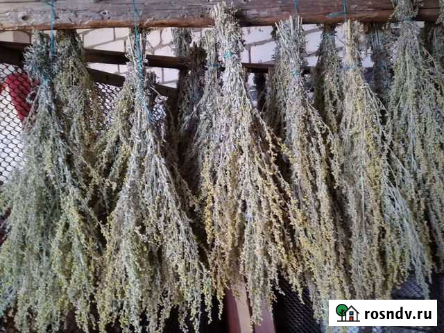 Полынь Зеленодольск - изображение 1