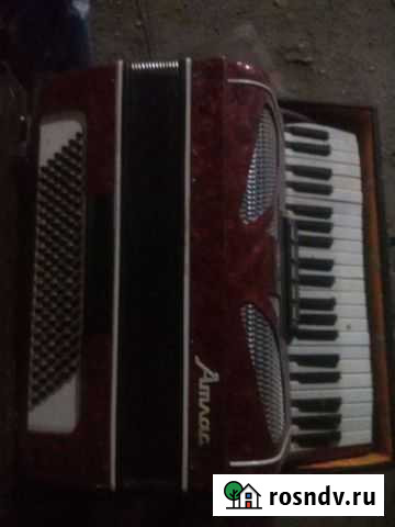 Аккордеон Изобильный - изображение 1