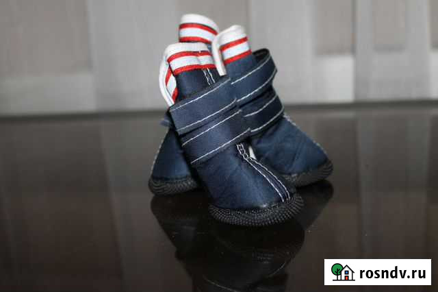 Сапоги для йорка Домодедово - изображение 1