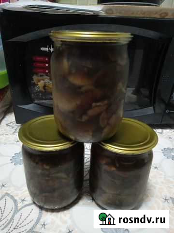 Грибы опята Набережные Челны - изображение 1