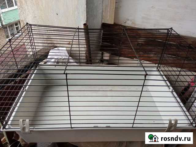 Клетка Красково - изображение 1