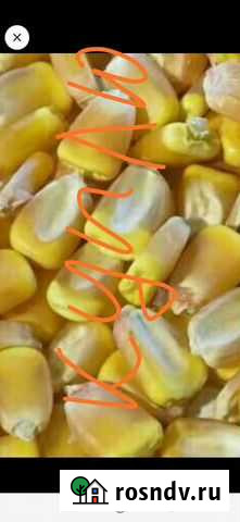 Кукуруза фуражная в мешках отличного качества Нарткала - изображение 1