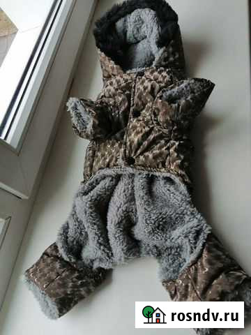 Одежда для маленьких собак Липецк - изображение 1