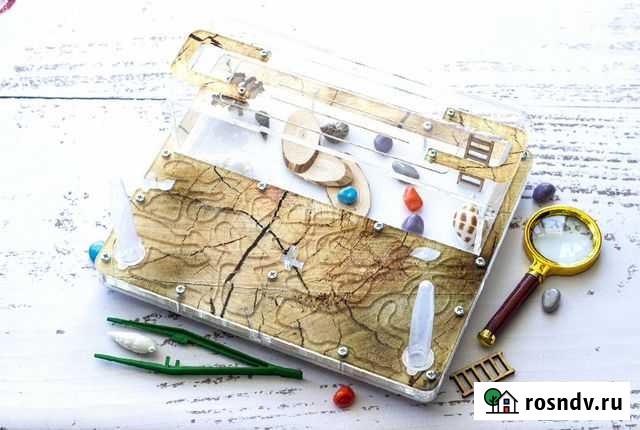 Муравьиная ферма (муравьи в подарок) Пенза - изображение 1