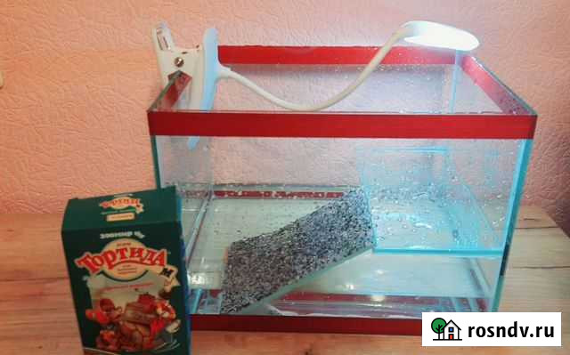 Террариум для черепахи Сочи - изображение 1