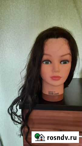 Голова манекен Севастополь - изображение 1