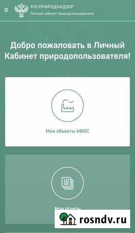 Экологическая отчетность Воронеж - изображение 1