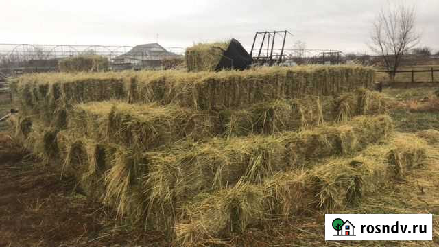 Целина в тюках Элиста - изображение 1
