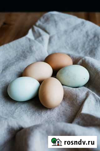 Яйца Канск - изображение 1