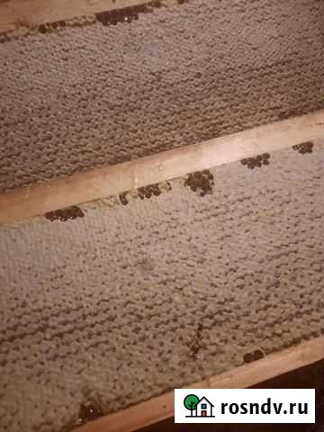 Рамка меда в сотах Сергиев Посад - изображение 1