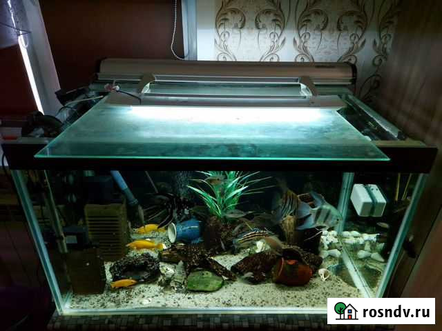 Аквариум 220 литров Барнаул - изображение 1