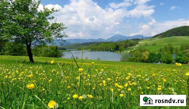 Участок СНТ, ДНП 37 сот. на продажу в Бабынино Бабынино - изображение 1