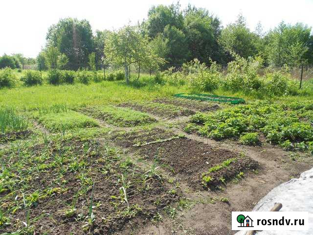 Участок СНТ, ДНП 6 сот. на продажу в Калининграде Калининград - изображение 1