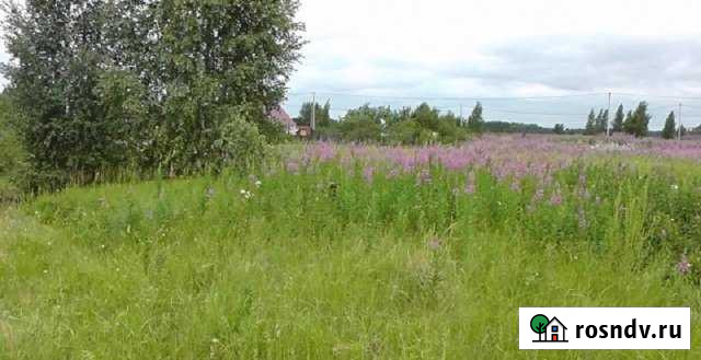 Участок СНТ, ДНП 30 сот. на продажу в Долгодеревенском Долгодеревенское - изображение 1