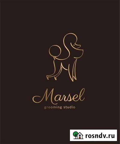 Стрижка собак и кошек уз чистка зубов без наркоза Кстово - изображение 1